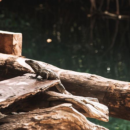 Hotel Uman Glamping & Cenote Tulum Exterior foto