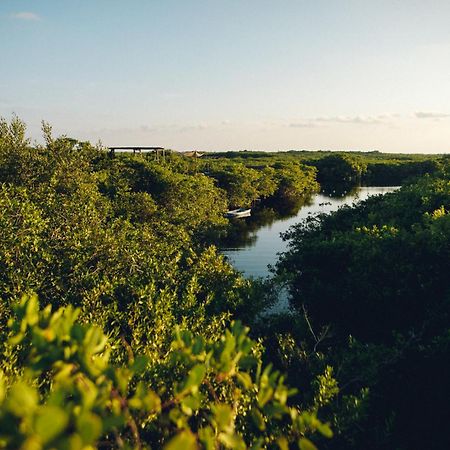 Hotel Uman Glamping & Cenote Tulum Exterior foto
