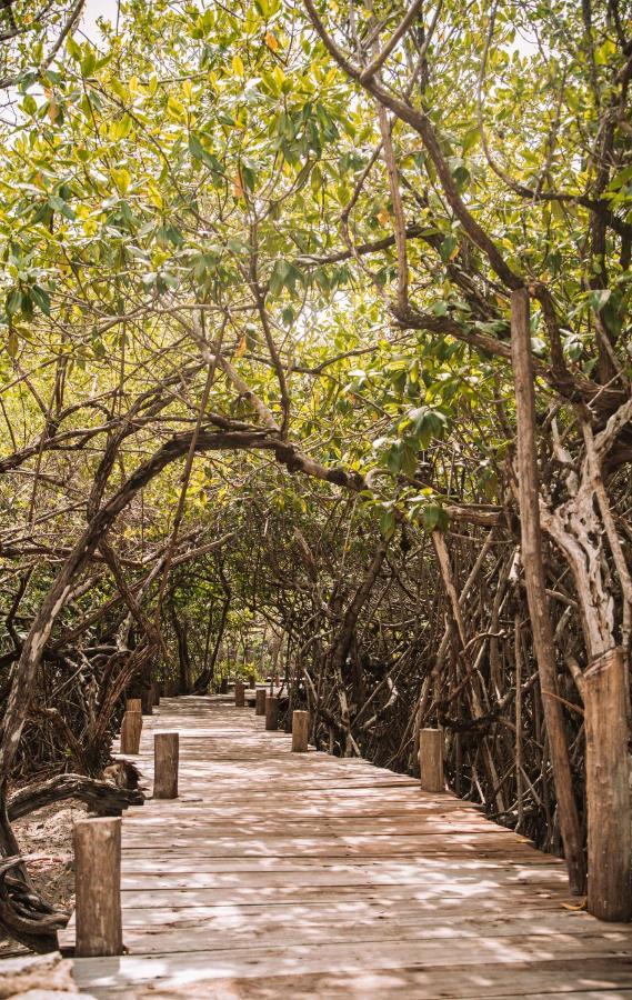 Hotel Uman Glamping & Cenote Tulum Exterior foto