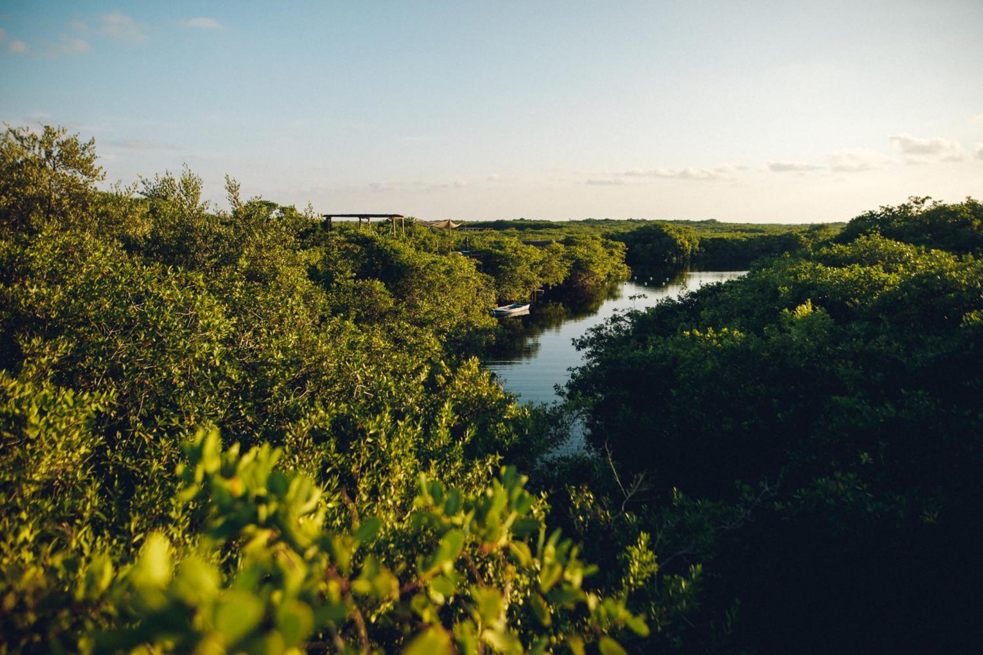 Hotel Uman Glamping & Cenote Tulum Exterior foto