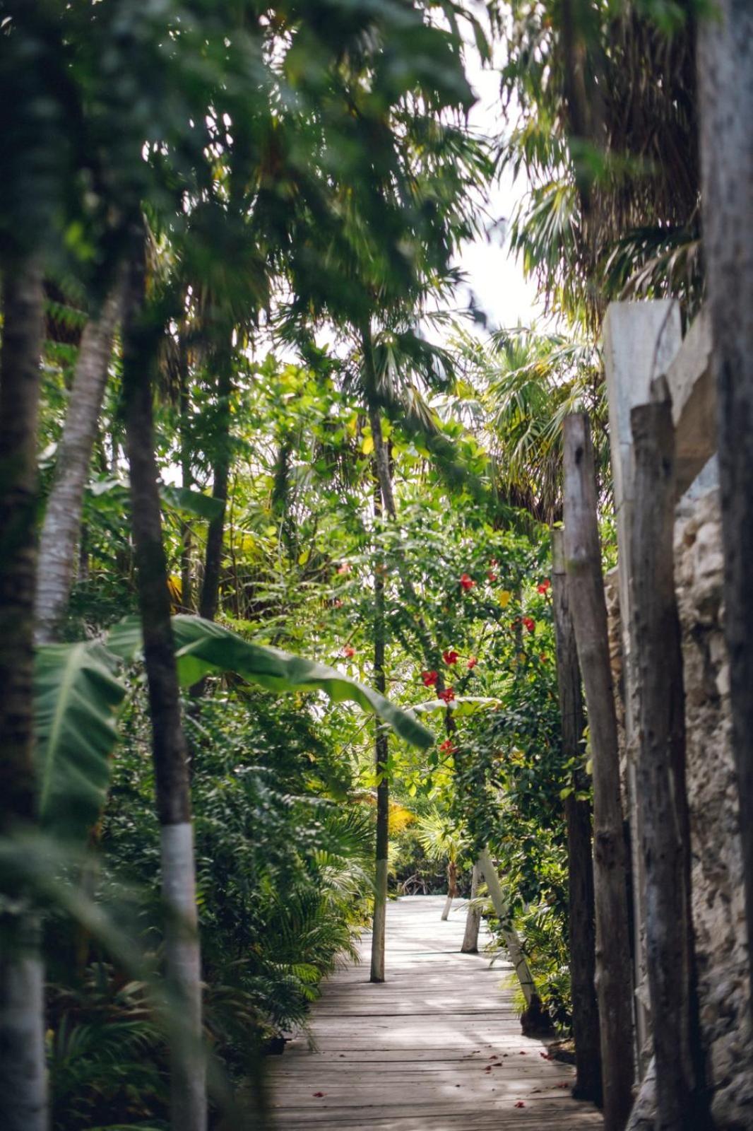 Hotel Uman Glamping & Cenote Tulum Exterior foto